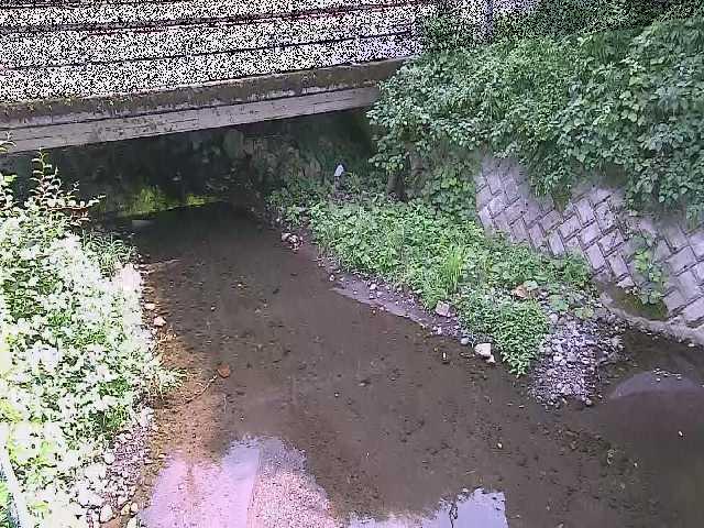 新下原橋付近のカメラ画像
