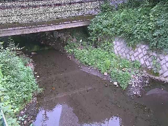 洞川 新下原橋付近のカメラ画像