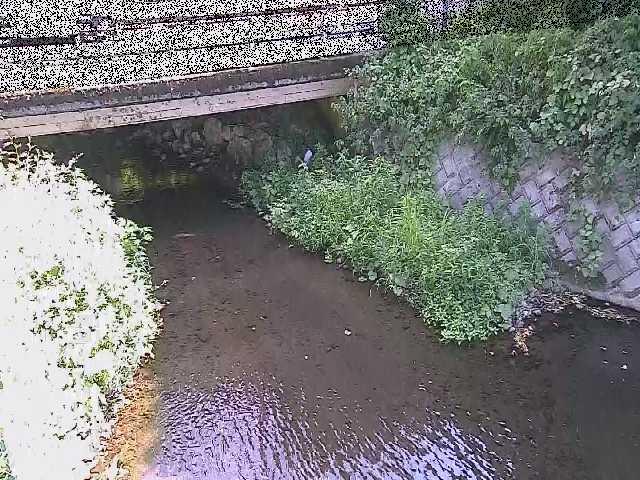 新下原橋付近のカメラ画像