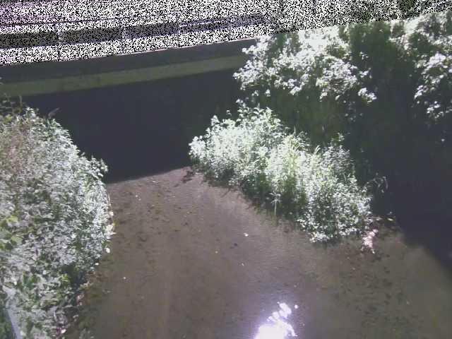 洞川 新下原橋付近のカメラ画像