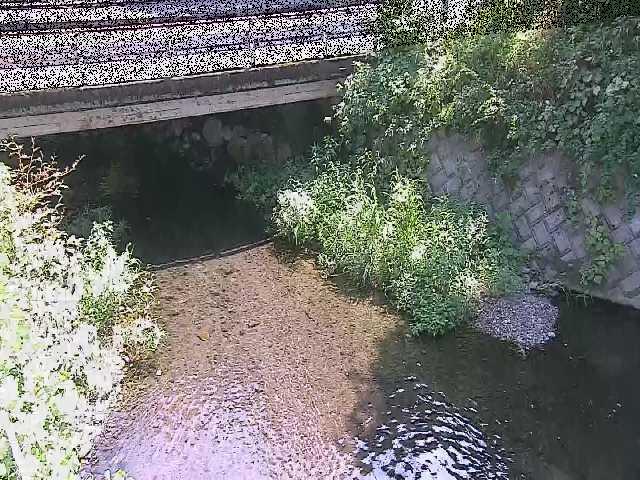 新下原橋付近のカメラ画像