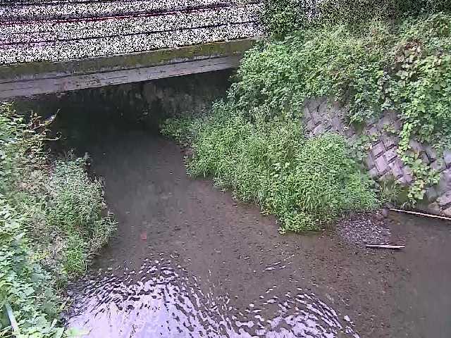 洞川 新下原橋付近のカメラ画像