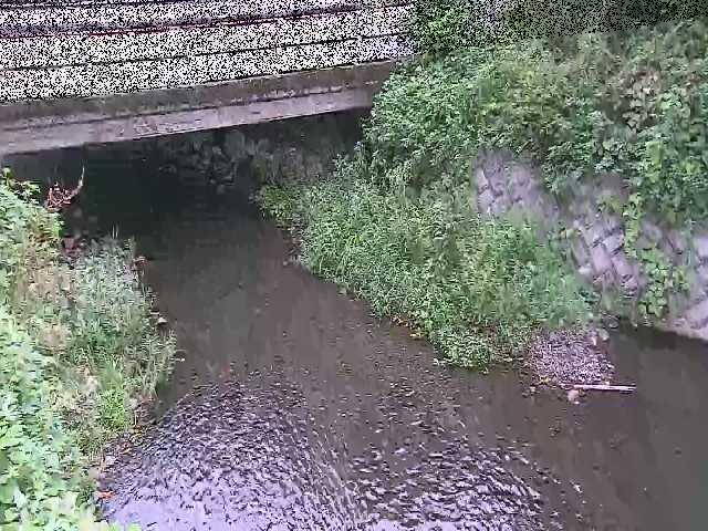 新下原橋付近のカメラ画像