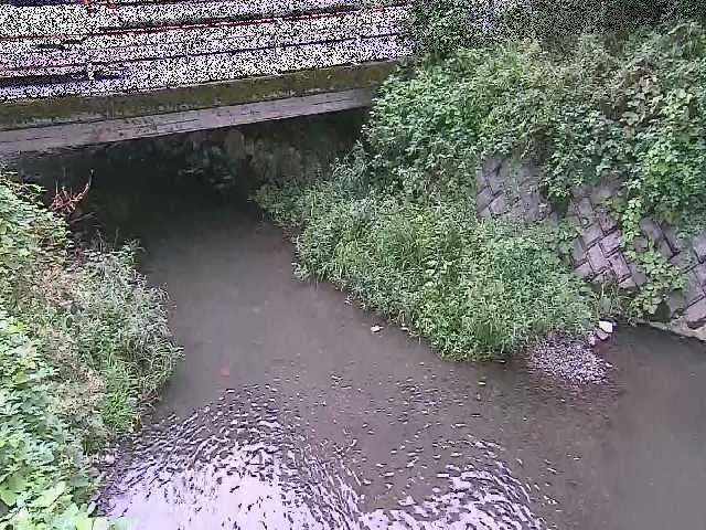 洞川 新下原橋付近のカメラ画像