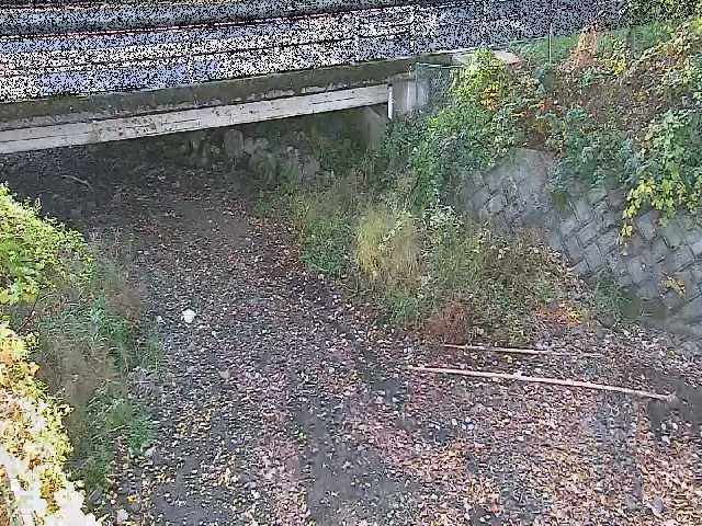 新下原橋付近のカメラ画像