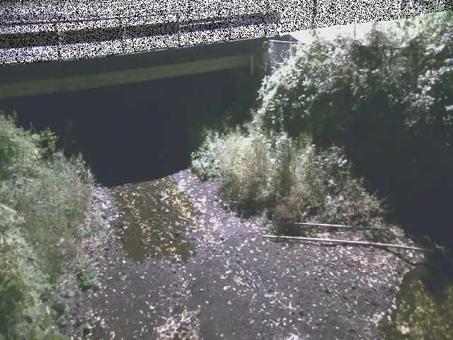 新下原橋付近のカメラ画像