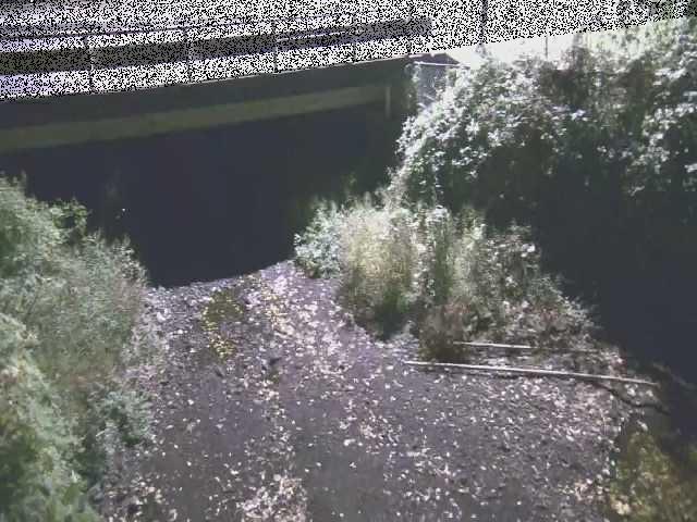 新下原橋付近のカメラ画像