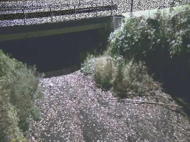 新下原橋付近のカメラ画像