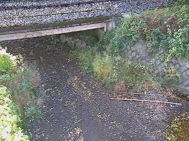 新下原橋付近のカメラ画像