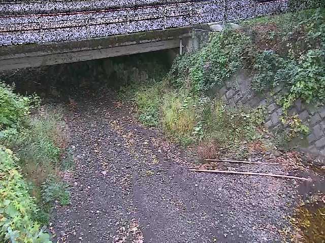 洞川 新下原橋付近のカメラ画像