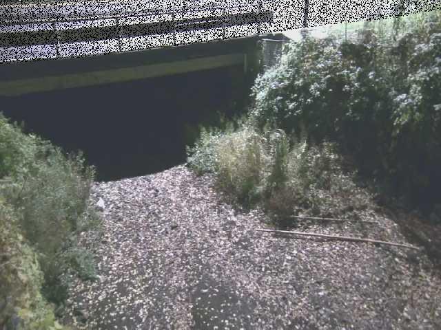 新下原橋付近のカメラ画像