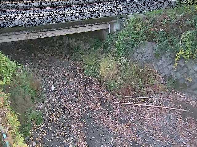 新下原橋付近のカメラ画像