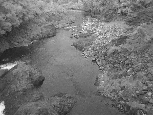 河内川 平山橋付近のカメラ画像