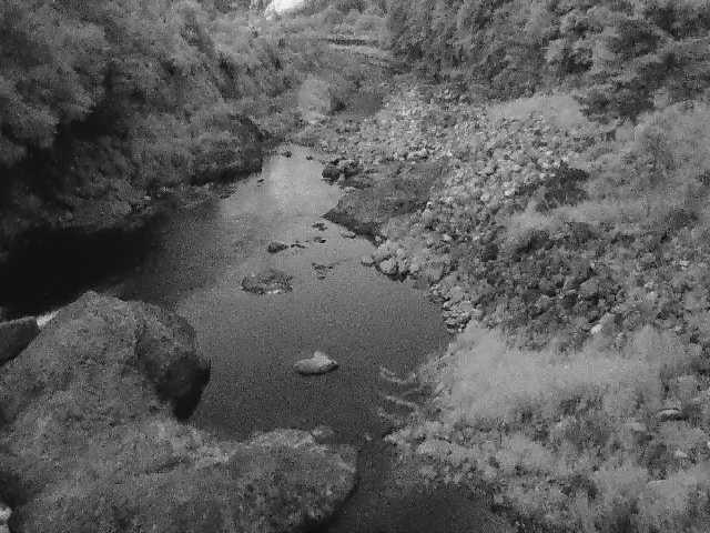 河内川 平山橋付近のカメラ画像