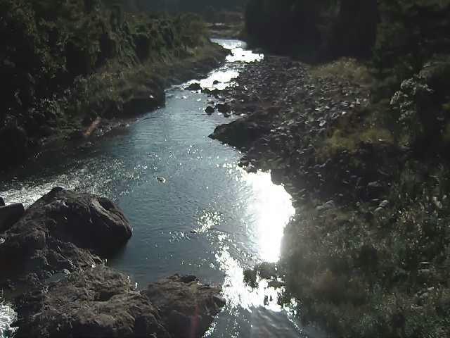 河内川 平山橋付近のカメラ画像