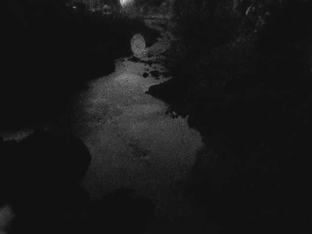 平山橋付近のカメラ画像