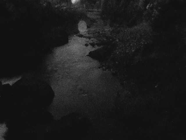 平山橋付近のカメラ画像