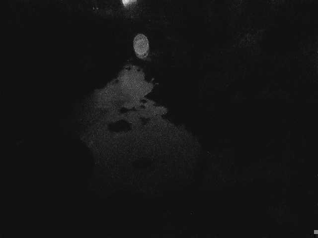 河内川 平山橋付近のカメラ画像