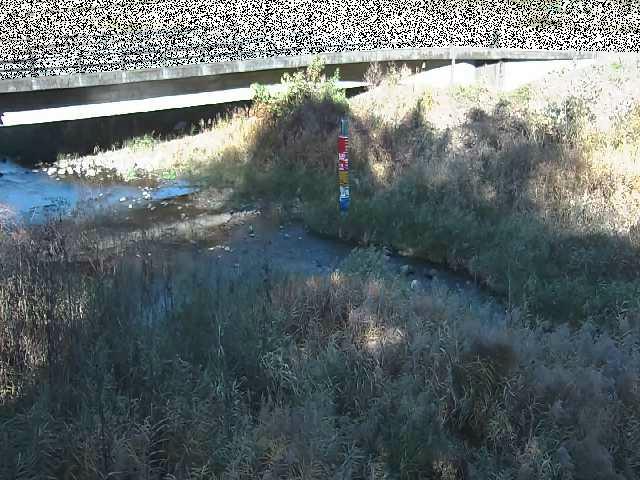 尾崎橋付近のカメラ画像