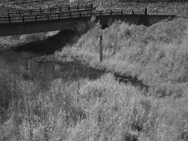 尾崎橋付近のカメラ画像