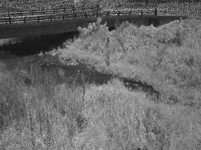 尾崎橋付近のカメラ画像