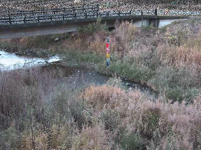 尾崎橋付近のカメラ画像