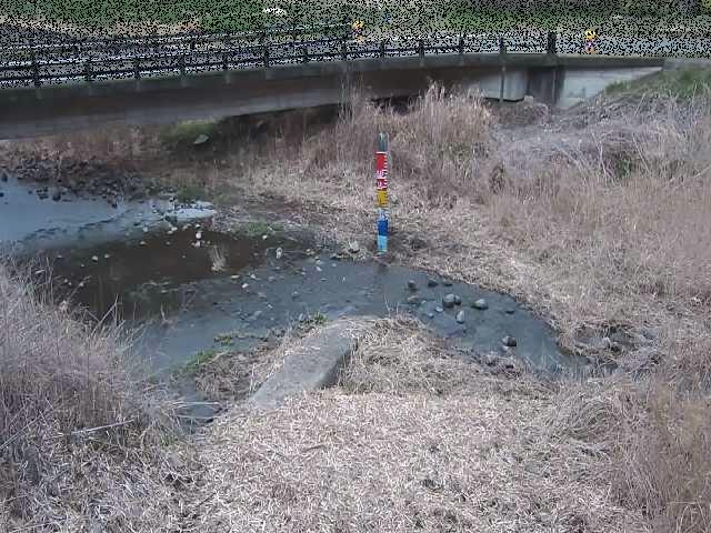尾崎橋付近のカメラ画像