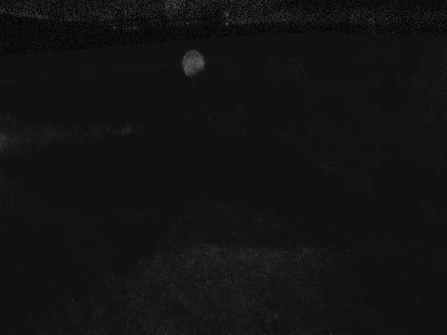 内川 尾崎橋付近のカメラ画像