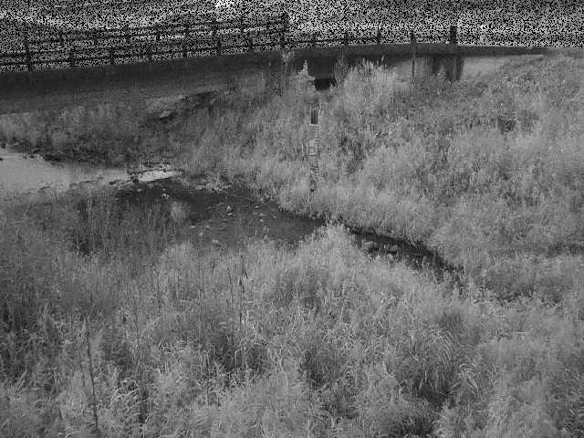 尾崎橋付近のカメラ画像