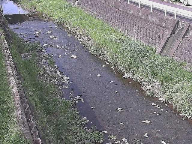藤沢川 暁橋付近のカメラ画像