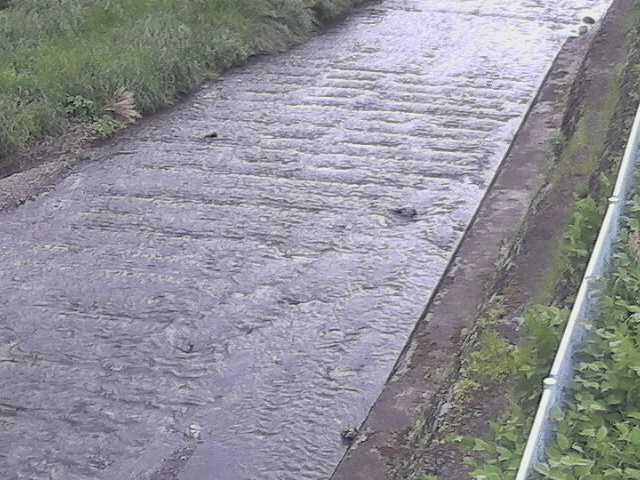 尺里川 水上橋付近のカメラ画像