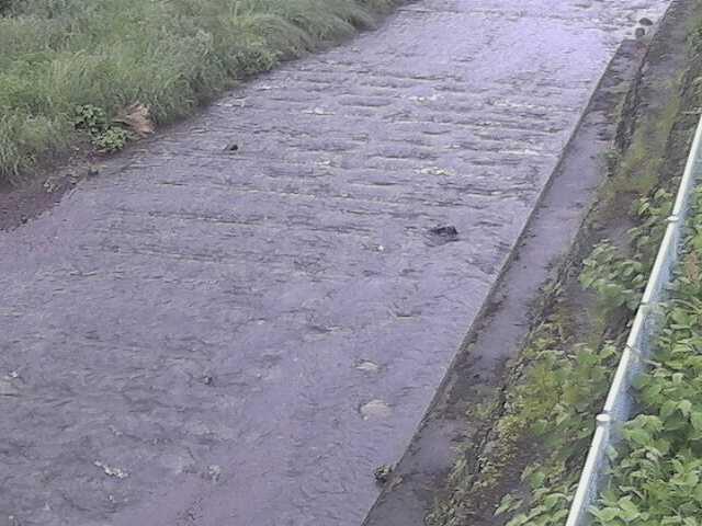 水上橋付近のカメラ画像