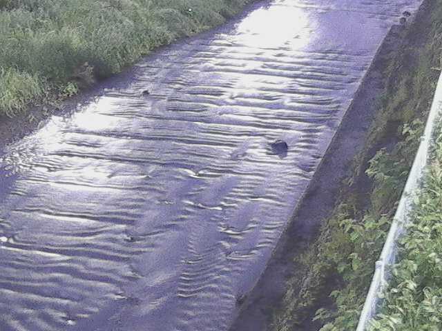 水上橋付近のカメラ画像