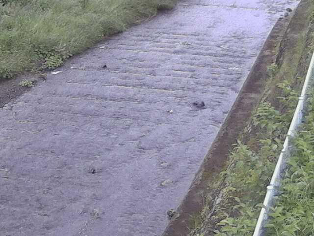 水上橋付近のカメラ画像