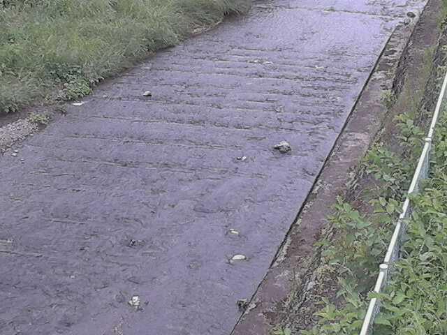 水上橋付近のカメラ画像
