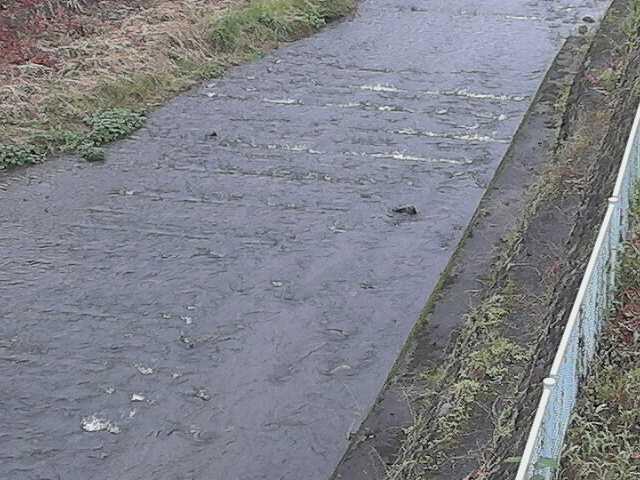 水上橋付近のカメラ画像