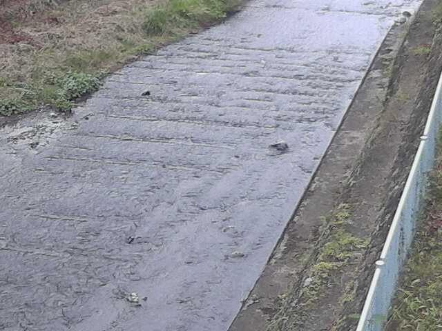 水上橋付近のカメラ画像