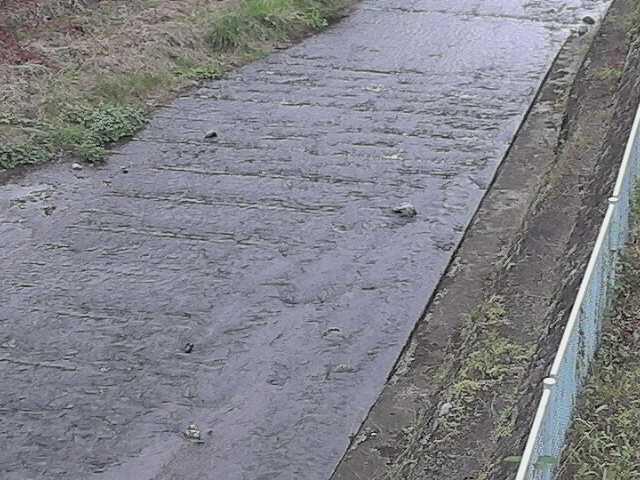 水上橋付近のカメラ画像