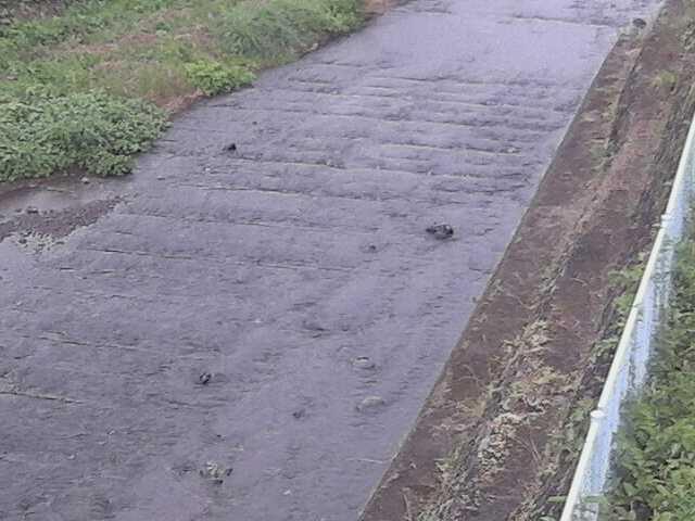 水上橋付近のカメラ画像