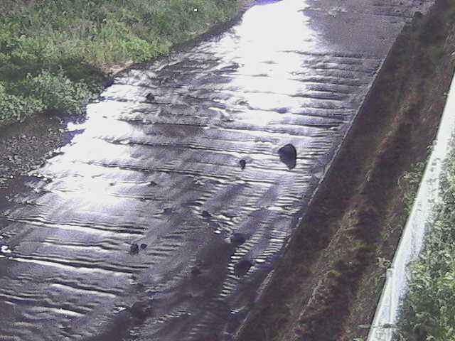 水上橋付近のカメラ画像
