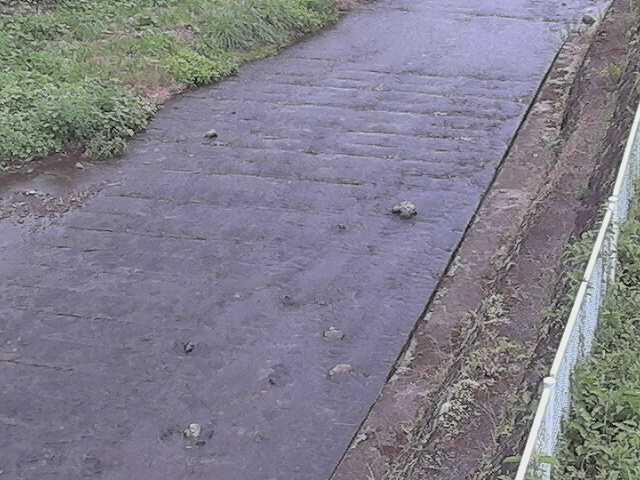 水上橋付近のカメラ画像