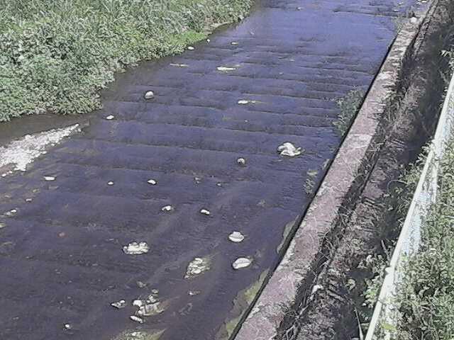 水上橋付近のカメラ画像