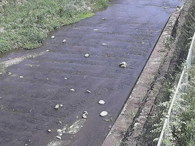 水上橋付近のカメラ画像