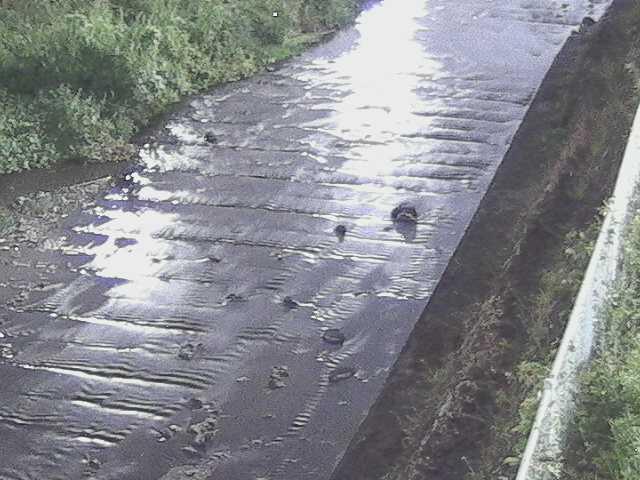 尺里川 水上橋付近のカメラ画像