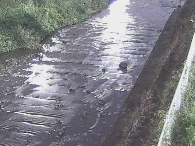 水上橋付近のカメラ画像