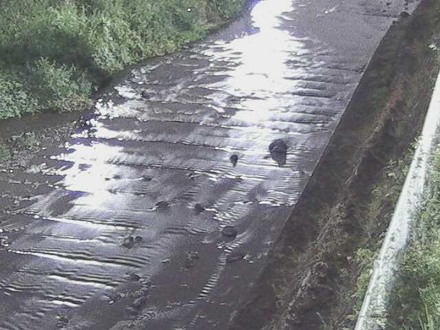 水上橋付近のカメラ画像