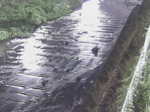 尺里川 水上橋付近のカメラ画像