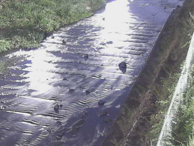 尺里川 水上橋付近のカメラ画像