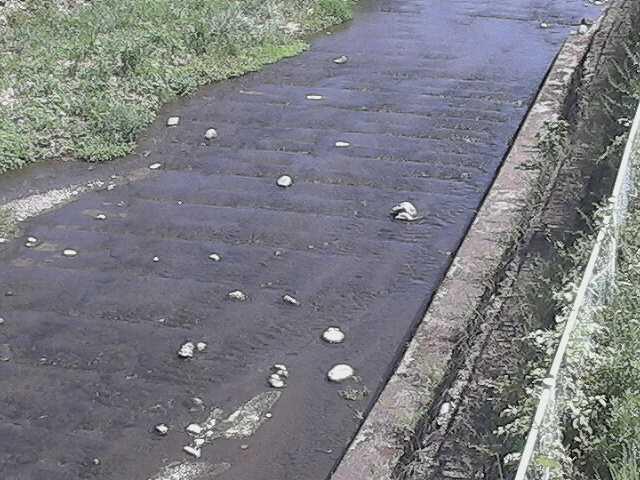 水上橋付近のカメラ画像