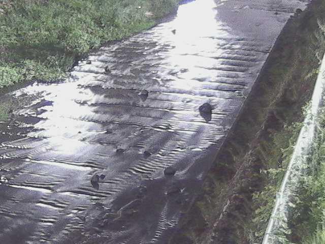 水上橋付近のカメラ画像